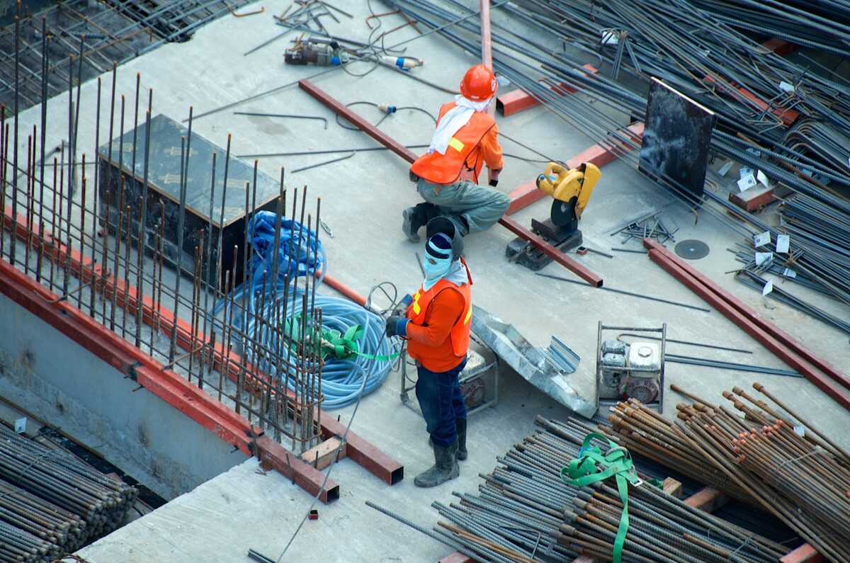 Fortis project