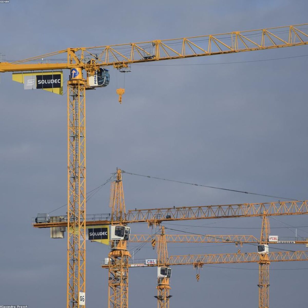 Fortis project